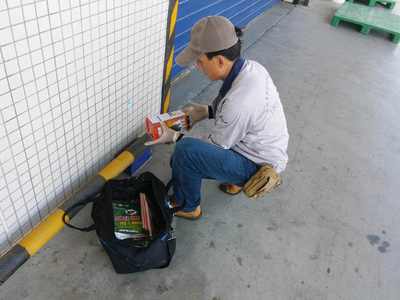 食品廠老鼠防治方案，早用早省心 清潔服務助您無憂經(jīng)營